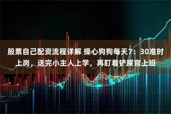 股票自己配资流程详解 操心狗狗每天7：30准时上岗，送完小主人上学，再盯着铲屎官上班